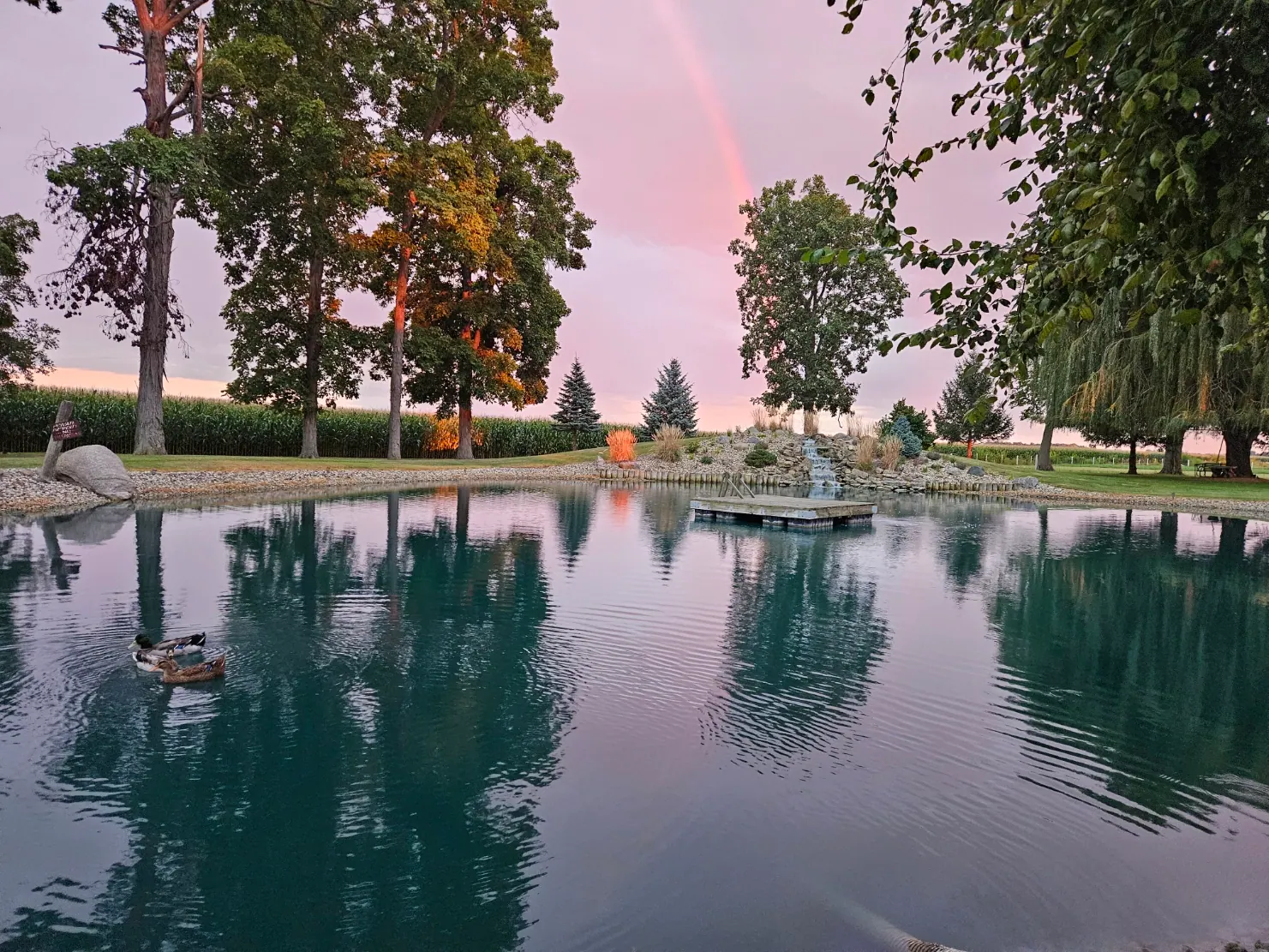 The pond at dusk with a faint rainbow over the trees, a waterfall and dock across the water, and ducks gliding past.